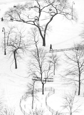 Washington Square, Winter, New York