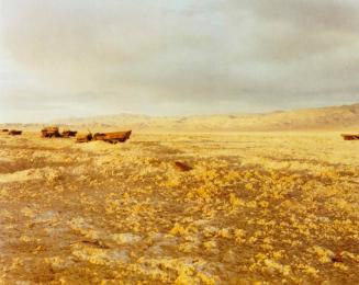 Convoy, Bravo 20 Bombing Range, Nevada