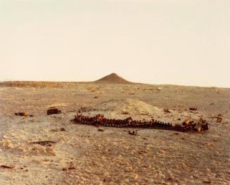 Tank Tread and Lone Rock