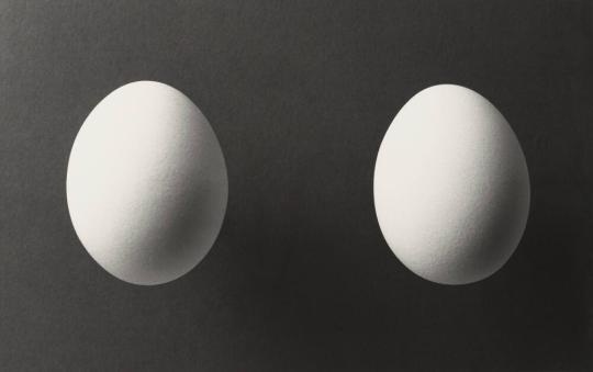 Two Eggs