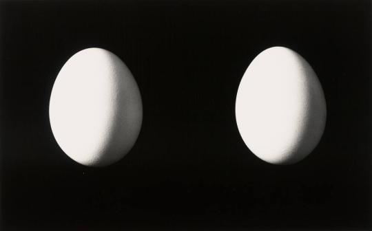 Two Eggs