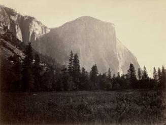 El Capitan at the Foot of the Mariposa Trail