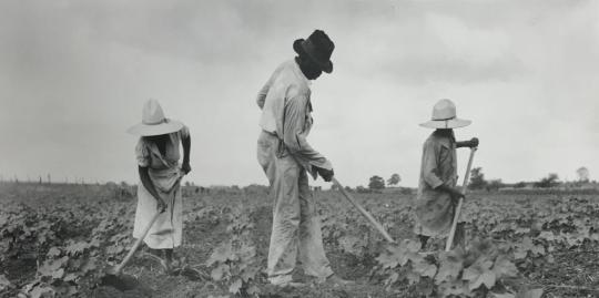 Sharecroppers, Eutaw, Alabama