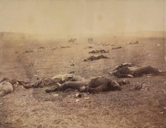 A Harvest of Death, Gettysburg, Pennsylvania