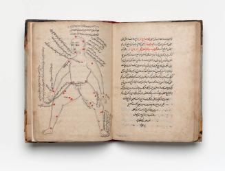Manuscript of a Tashrih-i Mansuri (Mansur’s Anatomy)