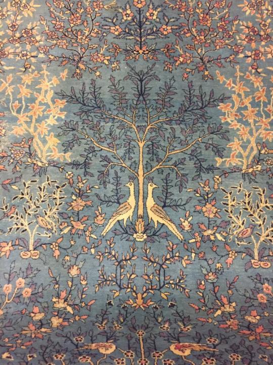 Tree Carpet