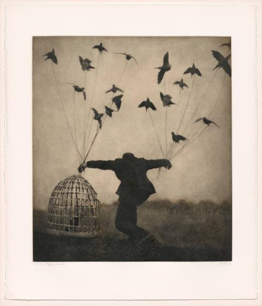 Shana ParkeHarrison