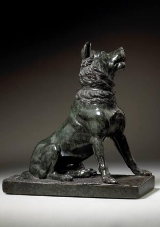 A Model of the Dog of Alcibiades