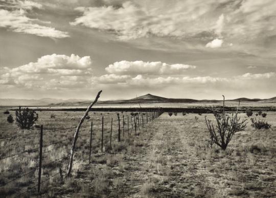 Fence, Tetilla Peak, New Mexico