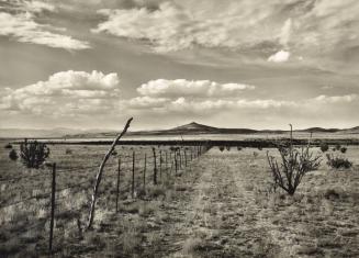 Fence, Tetilla Peak, New Mexico