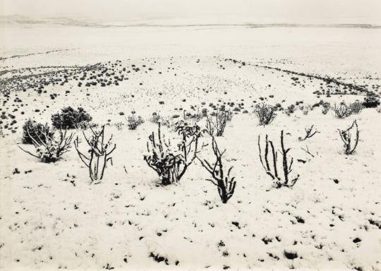 Snow, Santa Fe River Gorge from Tetilla Peak, New Mexico