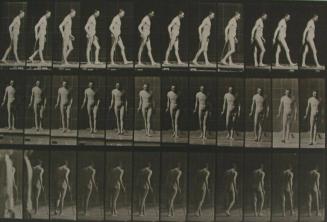 Eadweard Muybridge