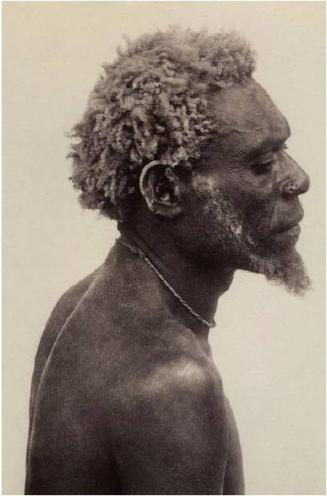 New Britain resident (Bismarck Archipelago of Papua New Guinea)