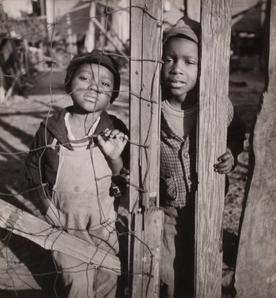 The Fence, Children in St. Petersburg, Florida