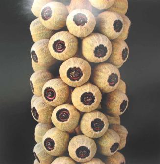 Munroidendron racemosum (fruit)