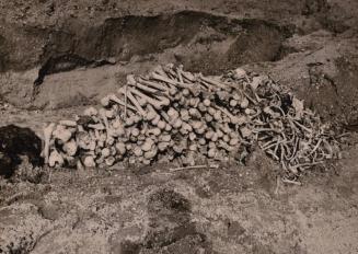 [Mass Graves, Buchenwald Concentration Camp]