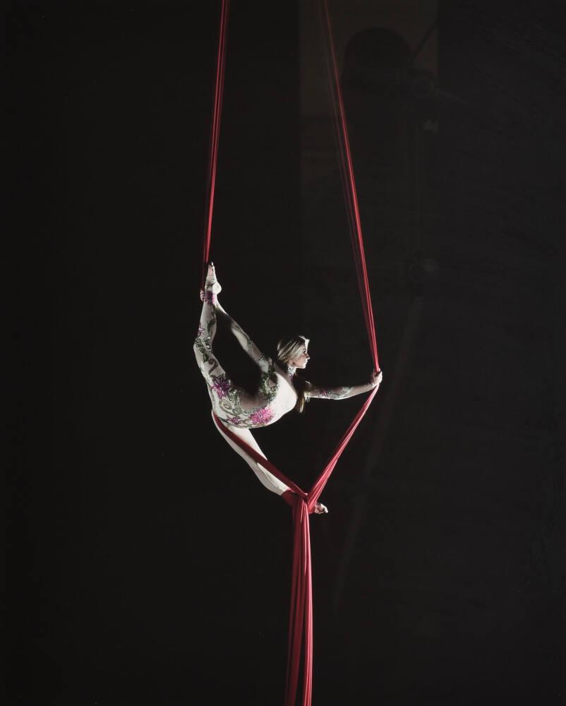 Valeria, Aerial Silk Performer | All Works | The MFAH Collections