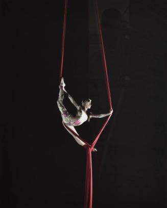 Valeria, Aerial Silk Performer