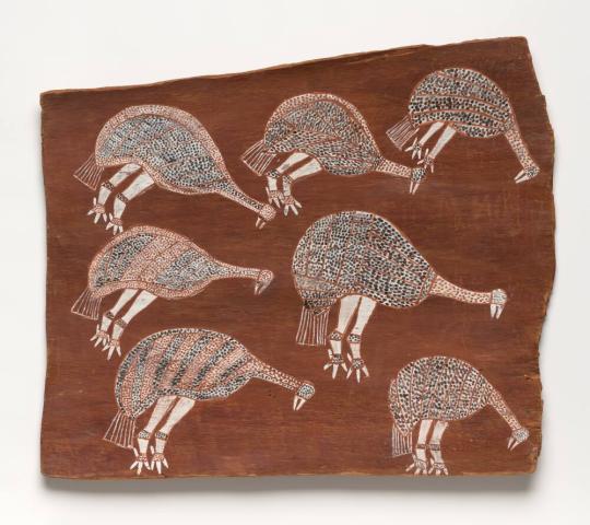 Seven Emus