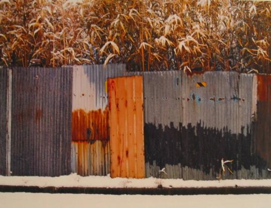 Tin Wall and Bamboo, Japan