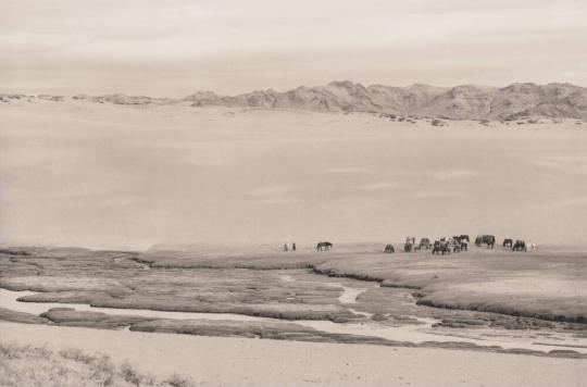 Great Sand Dune Oasis