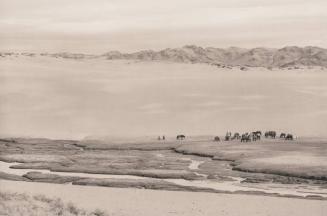 Great Sand Dune Oasis