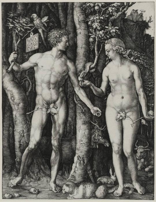 Fig. 32.1. Albrecht Dürer, The Fall of Man (Adam and Eve), 1504, engraving, Museum of Fine Arts ...