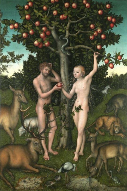Fig. 32.3. Lucas Cranach the Elder, Adam and Eve, 1526, oil on panel, the Courtauld, London (Sa ...