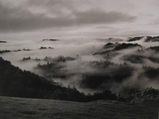 Hills and Rain, Sonoma County, California