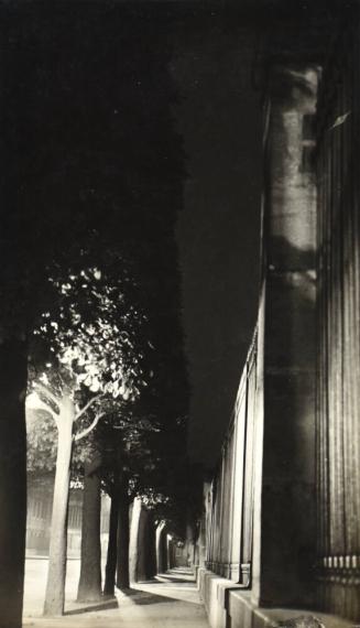 The Luxembourg Garden at Night, Paris