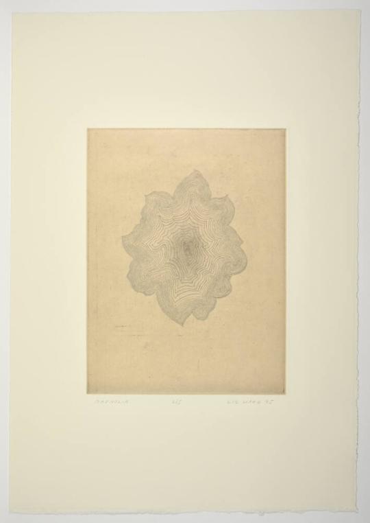 Magnolia