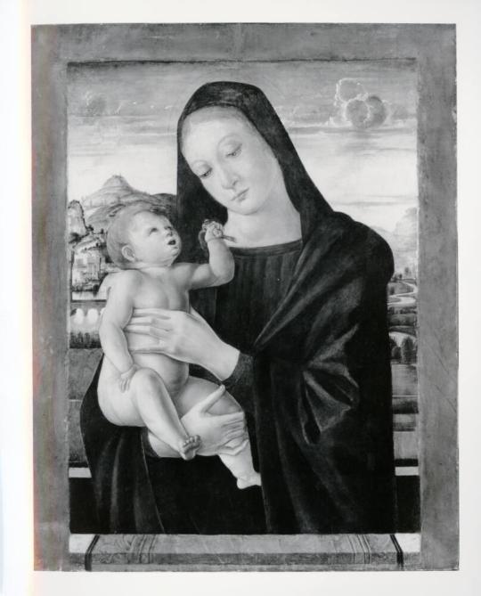 Fig. 14.2. Cat. 14, Giovanni Bellini, Virgin and Child, c. 1460–70, tempera on panel, the Museu ...