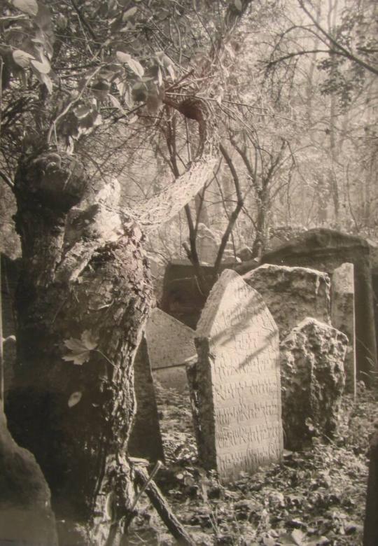 The Old Jewish Cemetery