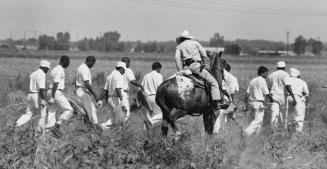 Texas Department of Corrections Guard on Horseback