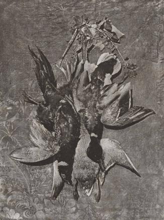[Still Life of Fowl: Quail and Duck]