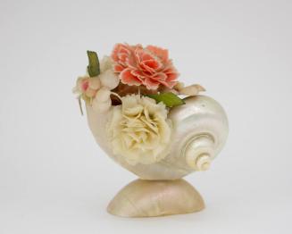 Shell Vase formed from a "Jourdan's turban" snail shell (Turbo jourdani) and base from a "green turban" snail shell (Turbo marmoratus)