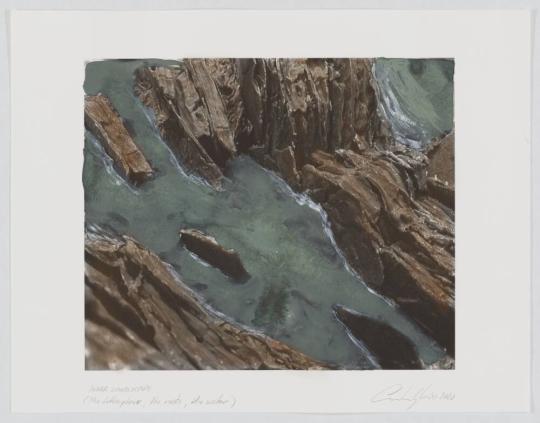 Study for Inner Landscape (the lithosphere, the roots, the water)