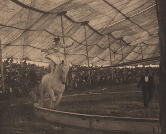 In the Circus