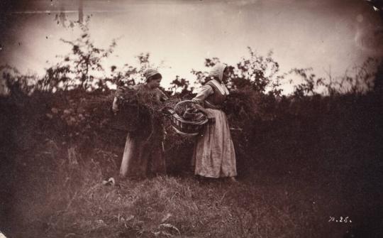 [Artist Study of Women in a Field with Baskets]