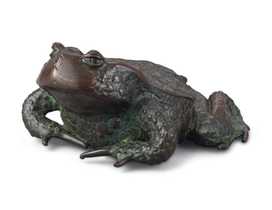 A Toad