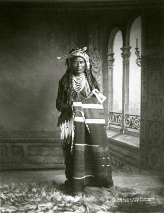 Heebe-Tee-Tse, Shoshone