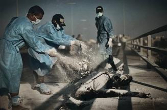 Volunteers sprinkle chemical powder on two corpses in the al-Intisar neighborhood of Tripoli