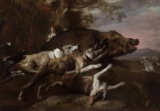 Hounds bringing down a Boar
