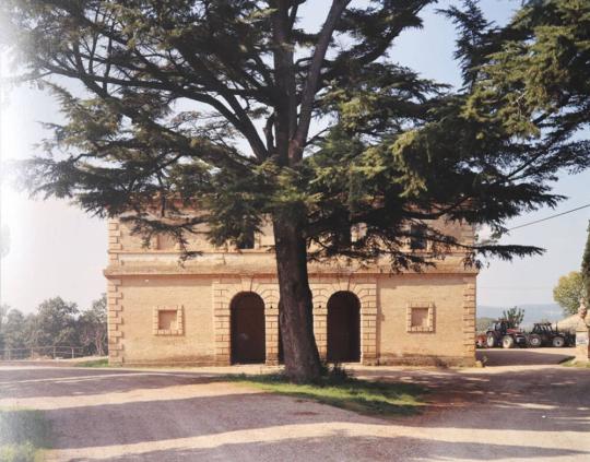 Tree and Building, Tuscany, Italy