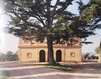 Tree and Building, Tuscany, Italy