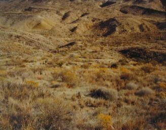 Brewster County, Texas