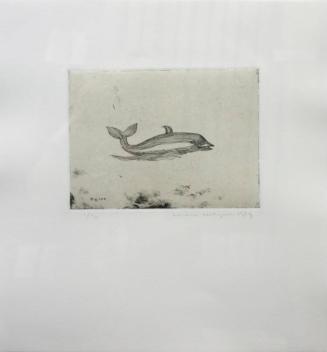 Fig. 104 Dolphin