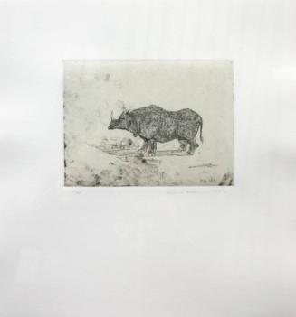 Fig. 107 Rhinoceros