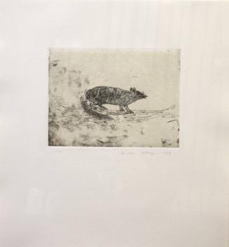 Fig. 111 Fox