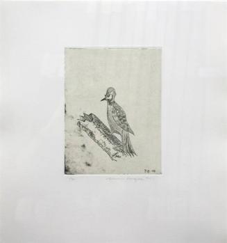 Fig. 158 Woodpecker